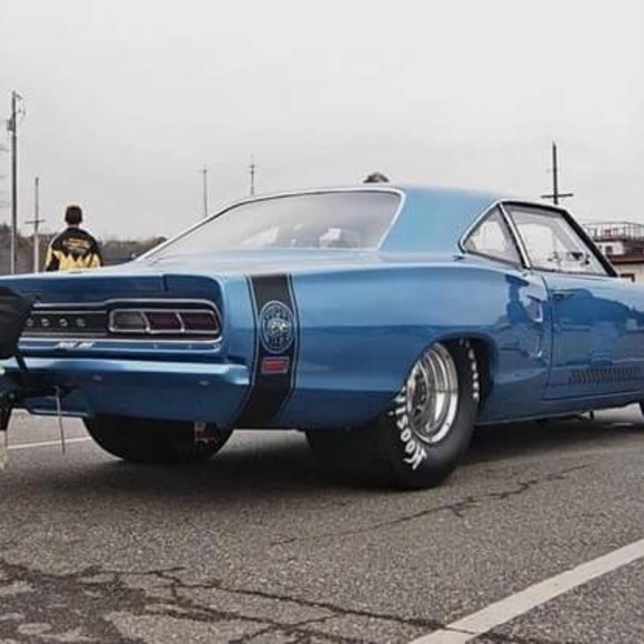 Meet your Posher, Matthew - Picture 1 of 1